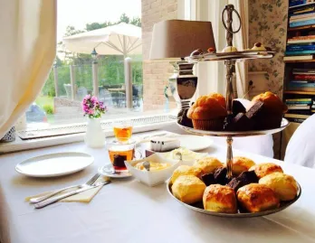 1cd150cb-e934-4a36-b4be-baf8636ffa5c 1cd150cb-e934-4a36-b4be-baf8636ffa5c